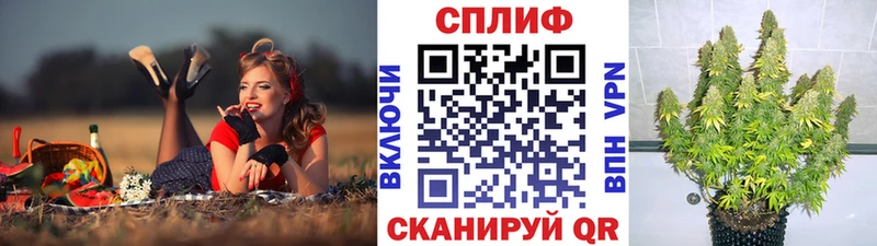 Марихуана Ganja  где продают   Артём 